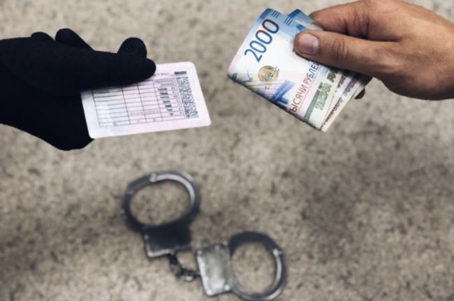 Автомобиль дает свободу